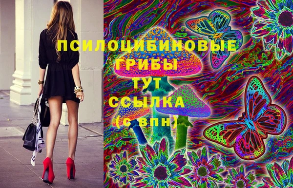 2c-b Куйбышев