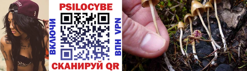 Галлюциногенные грибы Psilocybine cubensis  как найти закладки  Чулым 